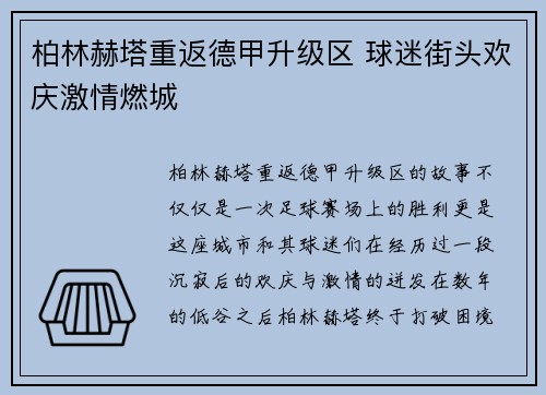 柏林赫塔重返德甲升级区 球迷街头欢庆激情燃城